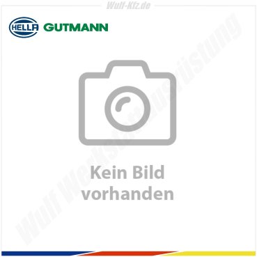 Hella Gutmann LPD-Kit / Niederdruckprüfset Adapterset 1